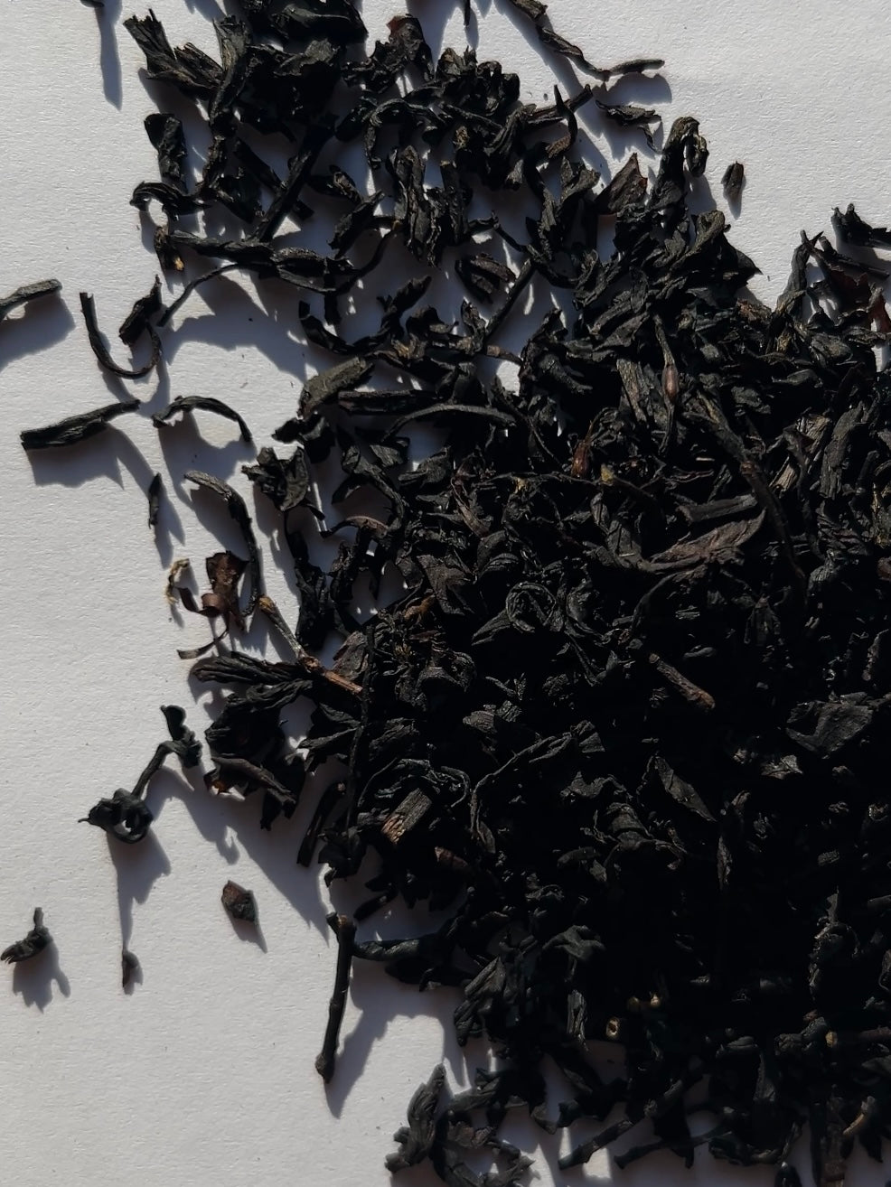 Ryger Earl Grey